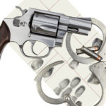 GunCharges2 GunCharges2