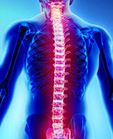 Spinal2 Spinal2
