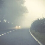 Fog Fog