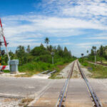 TrainAcc TrainAcc